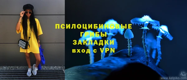 дживик Богородицк