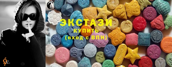 дживик Богородицк
